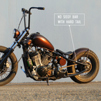 MAX Rear-End Bobber Kit for Honda Shadow VLX VT600