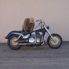 Brutal PRO 2-1 Performance Stainless Exhaust + Modular Muffler - Honda VTX1300