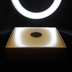 THE BRASS BOX
