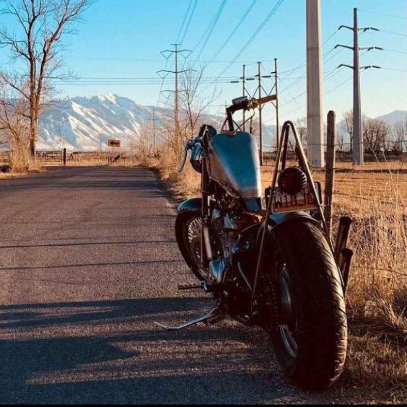 Custom Peanut Gas Tank