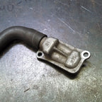 Anteris Bolt On Rear Fender and Sissy Bar Kit